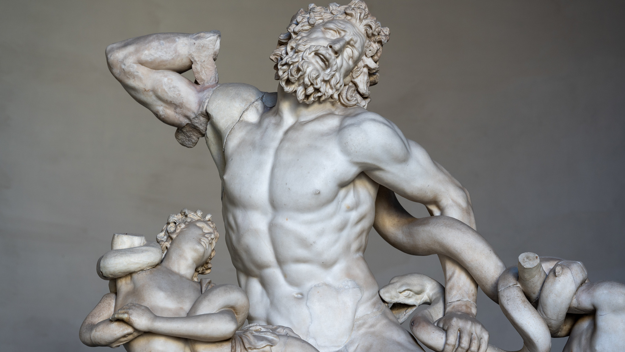the statue of "Laocoön and His Sons" (Ancient Rome).